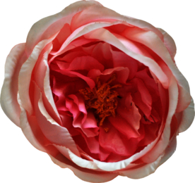 复古花朵植物图案