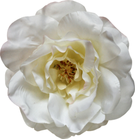 复古花朵植物图案