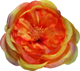 复古花朵植物图案