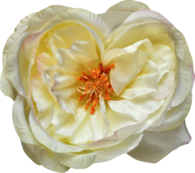 复古花朵植物图案