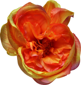 复古花朵植物图案