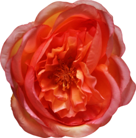 复古花朵植物图案