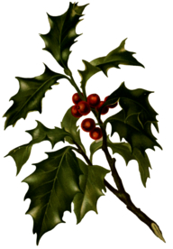 复古花朵植物图案