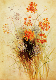 复古鲜花植物装饰画