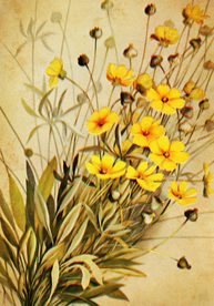 复古鲜花植物装饰画