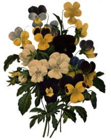 复古鲜花植物装饰图案