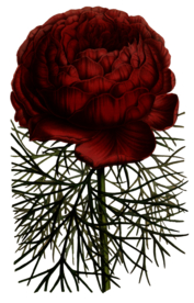 复古鲜花植物装饰图案