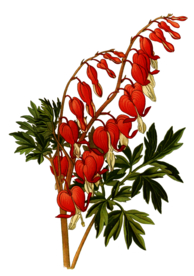 复古鲜花植物装饰图案