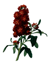 复古鲜花主题装饰图案