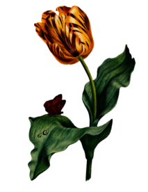 复古鲜花主题装饰图案