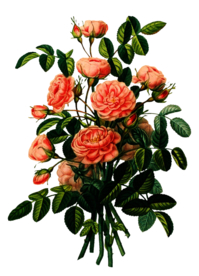 复古鲜花主题装饰图案