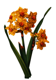 复古鲜花主题装饰图案