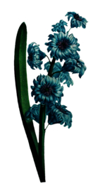 复古鲜花主题装饰图案