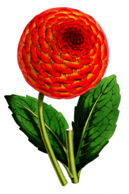 复古鲜花主题装饰图案