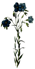 复古鲜花主题装饰图案