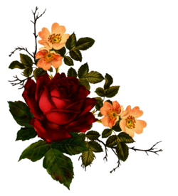 复古鲜花主题装饰图案