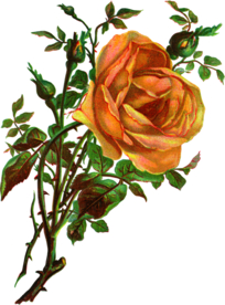 复古鲜花主题装饰图案