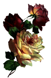 复古鲜花主题装饰图案