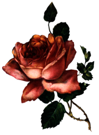 复古鲜花主题装饰图案