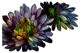 复古鲜花主题装饰图案