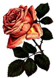 复古鲜花主题装饰图案