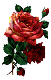 复古鲜花主题装饰图案