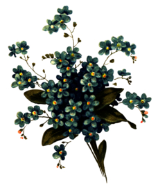 复古鲜花主题装饰图案