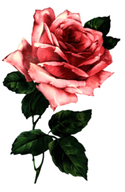 复古鲜花主题装饰图案