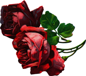 复古鲜花主题装饰图案