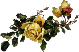 复古鲜花主题装饰图案