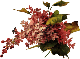 复古鲜花主题装饰图案