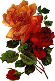 复古鲜花主题装饰图案