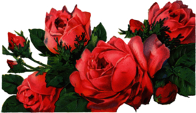 复古鲜花主题装饰图案