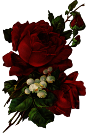 复古鲜花主题装饰图案