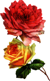 复古鲜花主题装饰图案