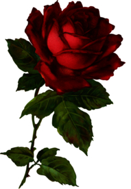 复古鲜花主题装饰图案