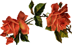 复古鲜花主题装饰图案