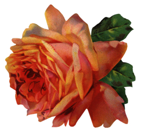 复古鲜花主题装饰图案