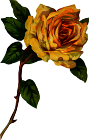 复古鲜花主题装饰图案