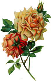 复古鲜花主题装饰图案