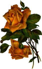 复古鲜花主题装饰图案