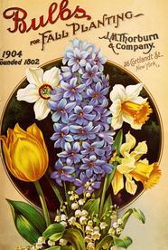 复古鲜花主题装饰图案