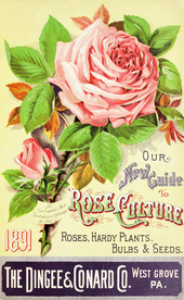 复古鲜花主题装饰海报