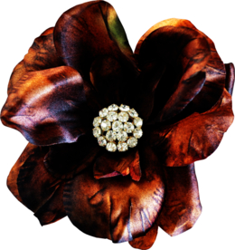 暗色玫瑰花花朵