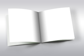 画册样机