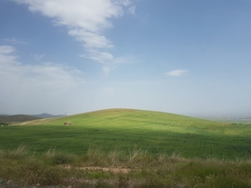 草地图片