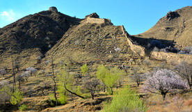 山西省大同市阳高县守口堡