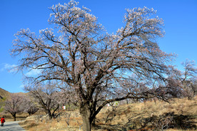 山西省大同市阳高县守口堡