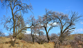 山西省大同市阳高县守口堡