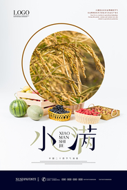 创意传统小满节气海报